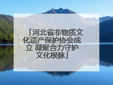 河北省非物质文化遗产保护协会成立 凝聚合力守护文化根脉