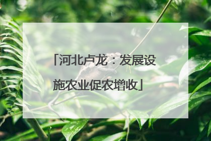 河北卢龙：发展设施农业促农增收