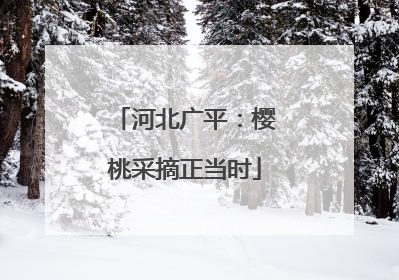 河北广平：樱桃采摘正当时