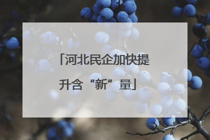 河北民企加快提升含“新”量