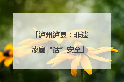 泸州泸县：非遗漆扇“话”安全