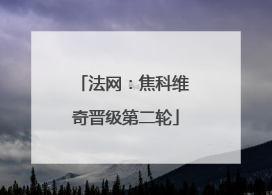法网：焦科维奇晋级第二轮