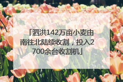 泗洪142万亩小麦由南往北陆续收割，投入2700余台收割机