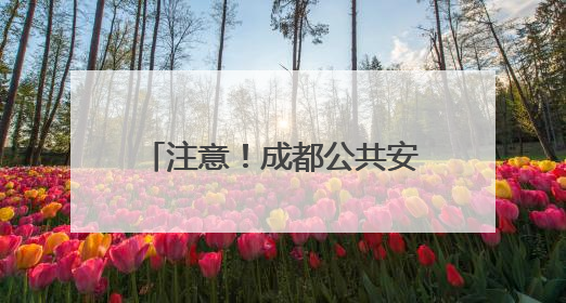 注意！成都公共安全视频系统备案进入倒计时，附线上线下办理指南→