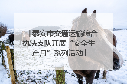 泰安市交通运输综合执法支队开展“安全生产月”系列活动