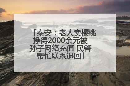 泰安：老人卖樱桃挣得2000余元被孙子网络充值 民警帮忙联系退回