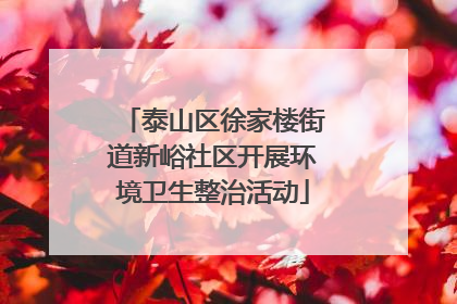 泰山区徐家楼街道新峪社区开展环境卫生整治活动