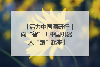 活力中国调研行｜向“智”！中国机器人“跑”起来