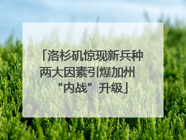 洛杉矶惊现新兵种 两大因素引爆加州“内战”升级