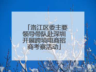 洛江区委主要领导带队赴深圳开展跨境电商招商考察活动