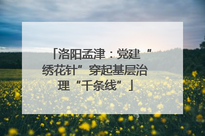 洛阳孟津:党建“绣花针”穿起基层治理“千条线”