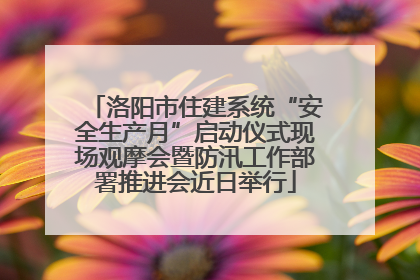 洛阳市住建系统“安全生产月”启动仪式现场观摩会暨防汛工作部署推进会近日举行