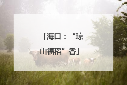海口：“琼山福稻”香