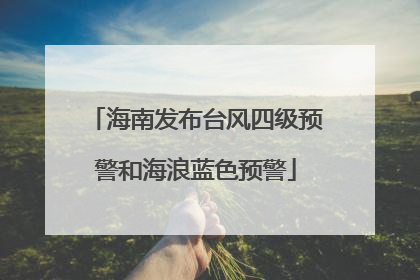 海南发布台风四级预警和海浪蓝色预警