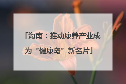 海南：推动康养产业成为“健康岛”新名片