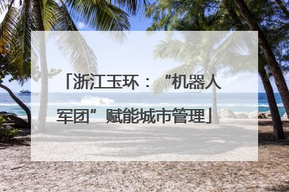 浙江玉环：“机器人军团”赋能城市管理