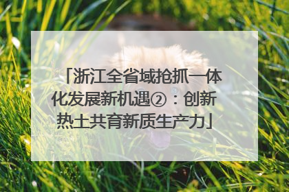 浙江全省域抢抓一体化发展新机遇②：创新热土共育新质生产力