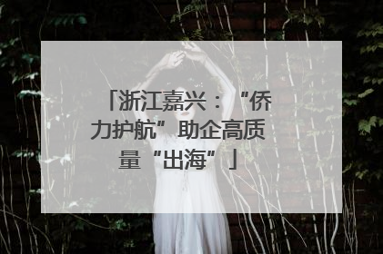 浙江嘉兴：“侨力护航”助企高质量“出海”