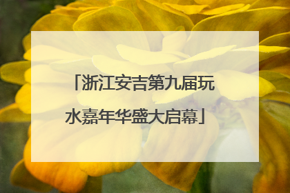 浙江安吉第九届玩水嘉年华盛大启幕