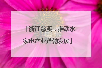 浙江慈溪：推动水家电产业蓬勃发展