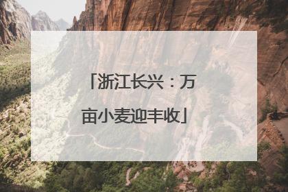 浙江长兴：万亩小麦迎丰收
