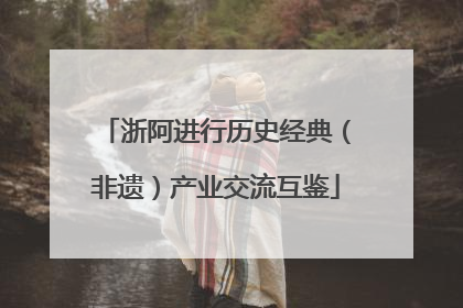 浙阿进行历史经典（非遗）产业交流互鉴