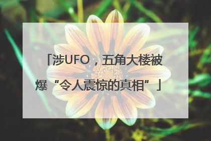 涉UFO，五角大楼被爆“令人震惊的真相”