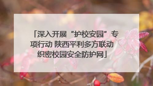 深入开展“护校安园”专项行动 陕西平利多方联动织密校园安全防护网
