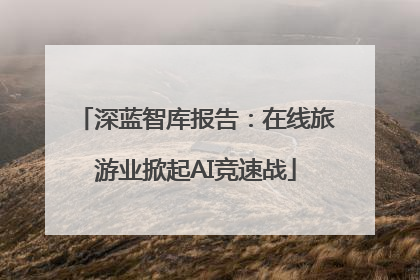 深蓝智库报告:在线旅游业掀起AI竞速战