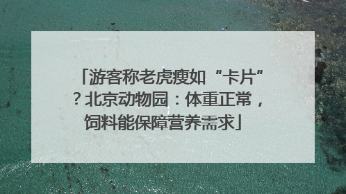游客称老虎瘦如“卡片”？北京动物园：体重正常，饲料能保障营养需求