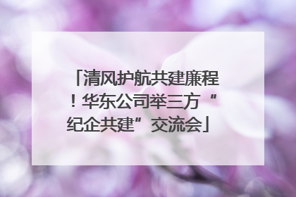 清风护航共建廉程！华东公司举三方“纪企共建”交流会