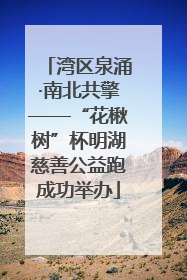 湾区泉涌·南北共擎——“花楸树”杯明湖慈善公益跑成功举办