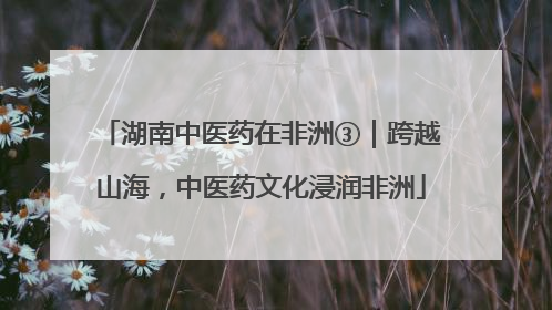湖南中医药在非洲③｜跨越山海，中医药文化浸润非洲