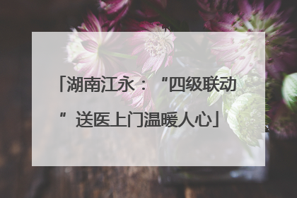 湖南江永：“四级联动”送医上门温暖人心