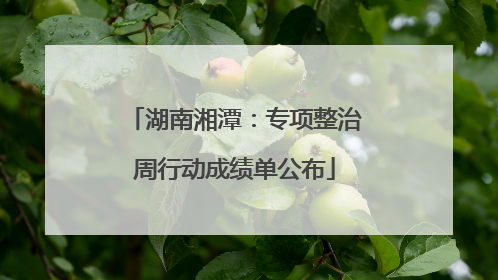 湖南湘潭：专项整治周行动成绩单公布