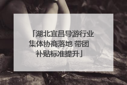 湖北宜昌导游行业集体协商落地 带团补贴标准提升