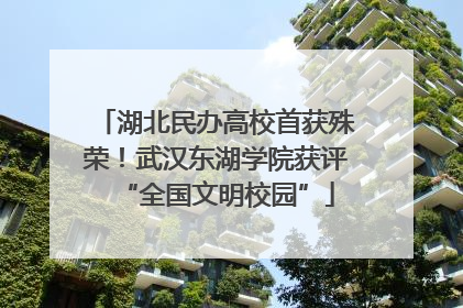 湖北民办高校首获殊荣！武汉东湖学院获评“全国文明校园”
