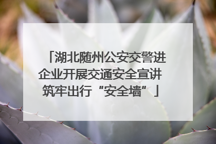 湖北随州公安交警进企业开展交通安全宣讲筑牢出行“安全墙”