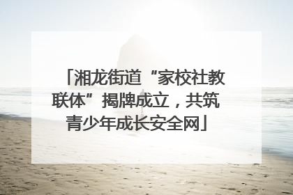 湘龙街道“家校社教联体”揭牌成立，共筑青少年成长安全网