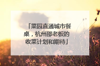 菜园直通城市餐桌，杭州邵老板的收菜计划和期待