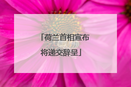 荷兰首相宣布将递交辞呈