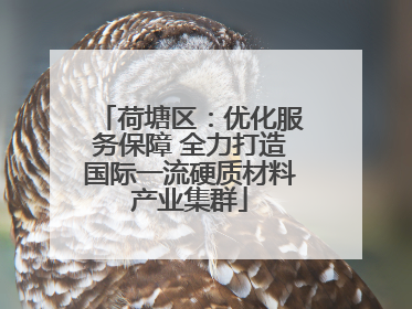 荷塘区：优化服务保障 全力打造国际一流硬质材料产业集群