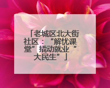 老城区北大街社区：“解忧课堂”撬动就业“大民生”