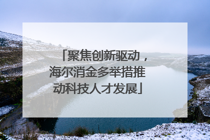 聚焦创新驱动，海尔消金多举措推动科技人才发展