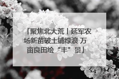 聚焦北大荒丨延军农场新苗破土铺绿浪 万亩良田绘“丰”景