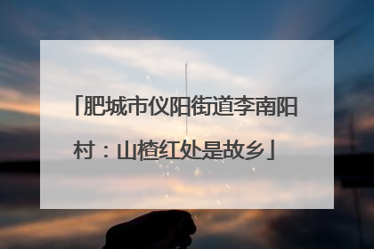 肥城市仪阳街道李南阳村：山楂红处是故乡