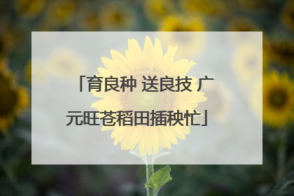 育良种 送良技 广元旺苍稻田插秧忙
