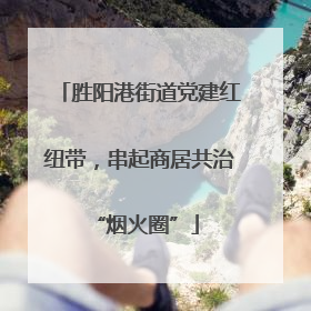 胜阳港街道党建红纽带，串起商居共治 “烟火圈”