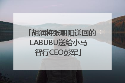 胡润将张朝阳送回的LABUBU送给小马智行CEO彭军