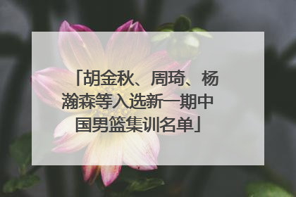 胡金秋、周琦、杨瀚森等入选新一期中国男篮集训名单